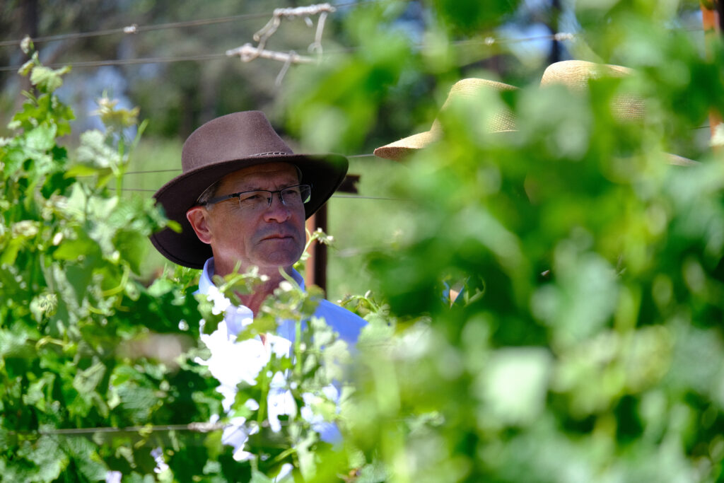 a man wearing a hat and glasses standing in a garden.